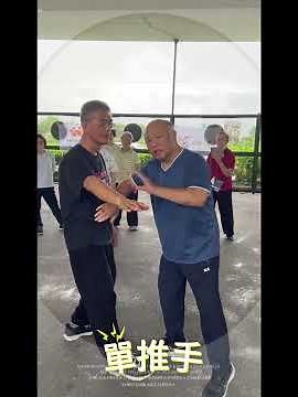單推手Attack and Defense in Single-Hand Push Hands by Zeng Xiang Bo