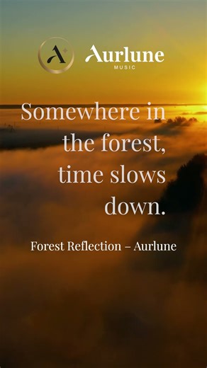 🌲 Forest Reflection | Calm Ambient Music for Peaceful Moments #shorts #music #quotes