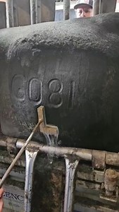 1.5K views · 2.5K reactions | We’re freeze-branding bulls, which...