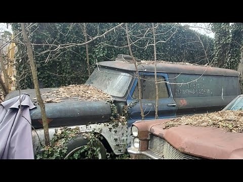 '66 Chevy Panel Truck Sitting ~20 Years - Will It Run? NNKH