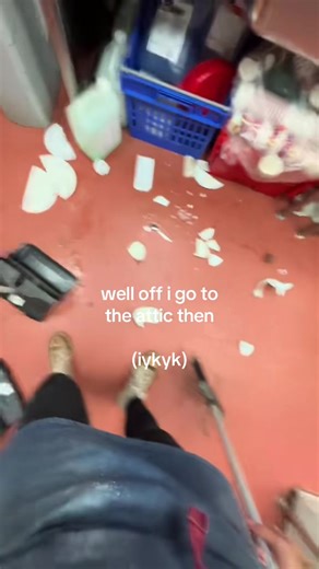 Discovering Hidden Treasures in Attics