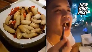 'Coconut worm' is a Vietnamese dish made from live larvae