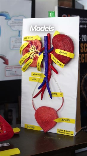 Innovation meets pedagogy at Innotek 2026 🚀📚