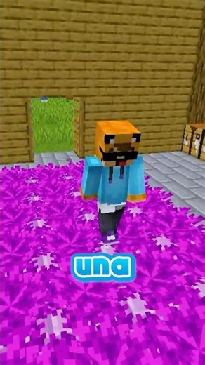 The Most Epic Decoration for Your Minecraft House... 😂