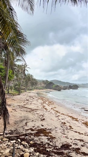 Every angle is a postcard. 💙 Come see why Barbados is the Caribbean's most breathtaking destination 🇧🇧 #VisitBarbados #LoveBarbados #MyBarbados #BarbadosViews #CaribbeanBeauty | Visit Barbados