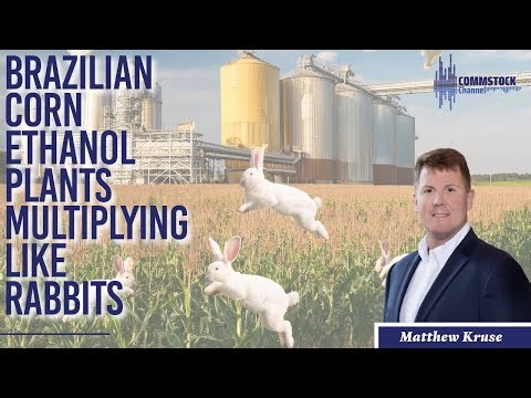 Brazilian Corn Ethanol Plants Multiplying Like Rabbits With Matthew Kruse