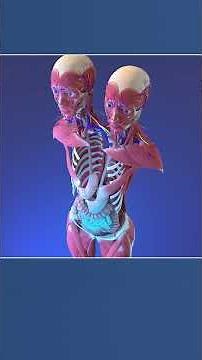 Two Heads, One Body: Anatomy of Conjoined Twins