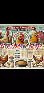 3.2K views · 14 reactions | Broiler chicken needs higher protein and...