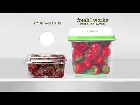 Sistema Freshworks Food Containers