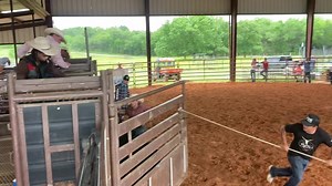 2.5K views · 86 reactions | 04H T Wrecks (Barrett Bucking Stock) split the win with 14H Rombaeur in the Derby competition with a marking of 89.60 points, both taking home a check for $4,462.50. T Wrecks was raised by BS Cattle Co., sired by past Futurity World Champion Z3 Swamp Wreck, and out of a Savage Shaker daughter. | Bucking Stock News | Facebook