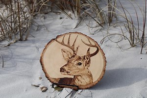 Wood Burned Deer | Rustic | Pyrography | Handmade - Etsy