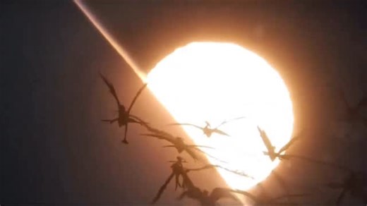 The Avatar Network on Instagram: "Every frame a painting 🖼️ Production Design (follow them both now): @dylancoleart | @ben.procter.design 🔥🔥🔥🔥🔥 #avatarfireandash #seeit5times #avatar3billion • Avatar is a multimedia universe centred on the first peoples of the distant moon of Pandora, a reality-based paracosm created by filmmaker, engineer and eco-activist James Cameron. Taking inspiration from, and ultimately acting as a paean to, our own Earth and its many first peoples, Avatar promotes 