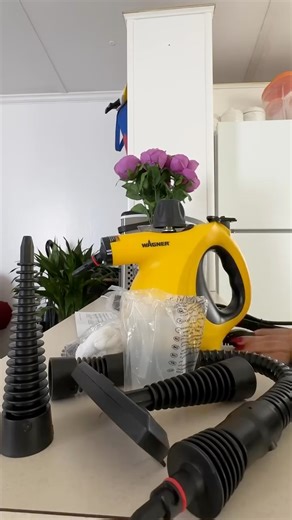 The 505e Steam Cleaner gives you everything you need to tackle every surface—no chemicals, just the power of steam 🫧🧼 | Wagner Painting