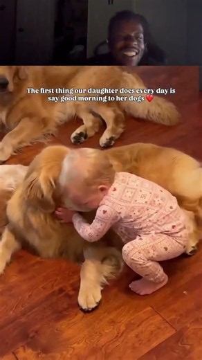 Just a wholesome morning with her best friends 🐾✨ #wholesome #goldenretriever