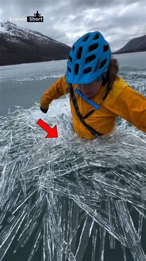 This Could Be the Biggest and Last Mistake of Your Life ❄️🌊 #facts #ThinIce#Antarctica #Arctic