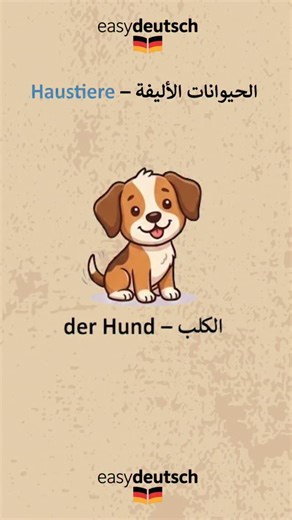 EasyDeutsch on Instagram: "🐶🐱 Haustiere – Deutsch für Anfänger (A1) Lerne die wichtigsten Haustiere auf Deutsch 🇩🇪 der Hund, die Katze, der Vogel, der Fisch und mehr ✨ Einfach • klar • perfekt für Anfänger 📌 Speichern nicht vergessen 👉 Folge für mehr Deutsch lernen jeden Tag"