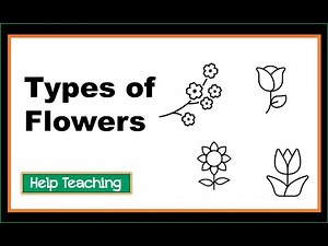 Types of Flowers | Science Vocabulary Lesson
