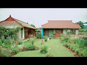 시골마을의 여름풍경 | 힐링영상 | 논산 야화리 벽화마을 | 능소화 | 시골풍경
