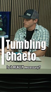 Tumbling the chaetomorpha algae in your refugium DOES have some distinct advantages! | Bulkreefsupply.com - Saltwater Aquarium Supplies