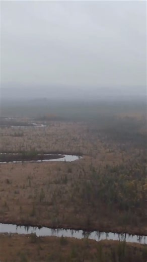 3.1K views · 29 reactions | Setting the seasonal mood in Northern Michigan. .  UpNorthLive . #cedar #cedarmichigan #michigan #hoahoahoaseason #itsamood #moodymichigan #northernmichigan #victoriacreek | UpNorthLive | Facebook