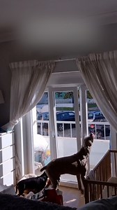 There must be a better solution 😂🫠 | Tyla