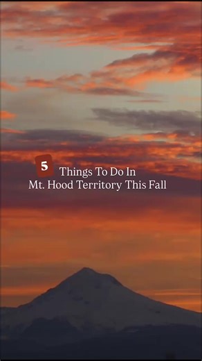 214K views | Crisp air, vibrant colors and endless adventure. Enjoy the best of autumn in Mt. Hood Territory, from stunning hikes to cozy farm visits. | Oregon's Mt Hood Territory | Facebook