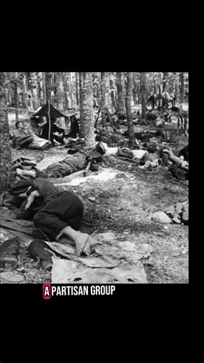 89K views · 1.2K reactions | WWII resistance fighter Faye Schulman...