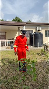 Caribbean neighbors always arguing 😭😂 #comedy #neighbor | Jamel Sampson