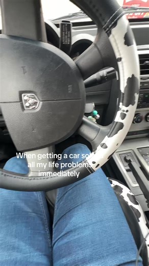 Getting My First Car: Solving Life's Problems