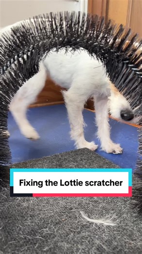 How to Fix a Dog Scratch Toy with Hot Water