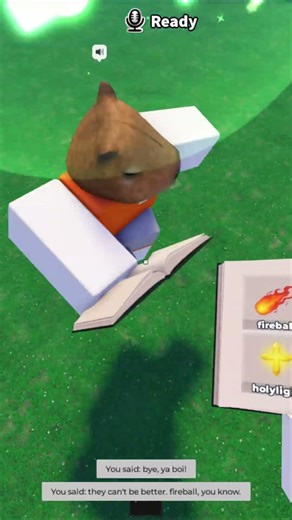 Fireball No.1 เข้าใจไหม!!! #roblox #games ##magic #fireball #funny