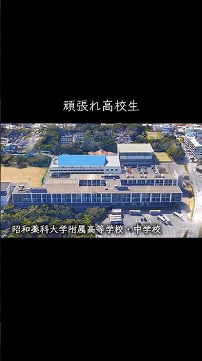 【沖縄】昭和薬科大附属高校 #学校紹介 #中学受験 #名門校