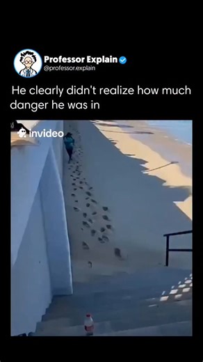 Professor Explain 🤯 on Instagram: "The X post features a meme video using footage from a Jet2holidays ad, overlaying the slogan “Nothing beats a Jet2holiday” on real clips of tourists fleeing a rogue wave crashing over a Cabo San Lucas beach wall. The ironic contrast highlights the unexpected risks of vacations. Captured on December 21, 2025, the video quickly went viral, reaching 1.6 million views and 4,500 likes. The clip also raises awareness about sneaker waves, which, according to NOAA, ca
