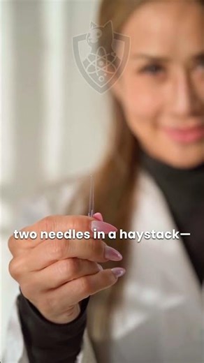 This Is How Shor’s Algorithm Works