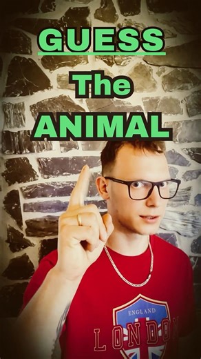 Guess the 7-Letter Animal in 3 Seconds! 🧠