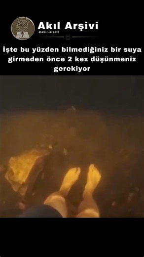 Bilinmeyen Sulara Asla Girmeyin! 🌊😱