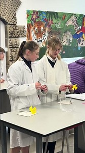 Year 7s Science lesson with Dr Beeching