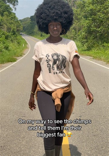 Chimpanzee Trekking in Budongo Forest, Murchison Falls