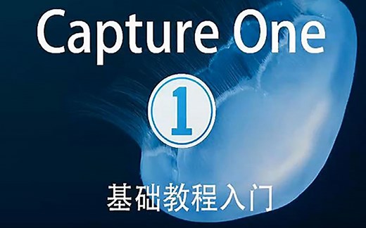 Capture One 20基础教程