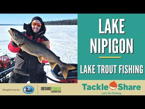 Lake Nipigon Lake Trout Fishing