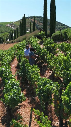 5.3K views · 94 reactions | Explore one of the Douro River Valley's...