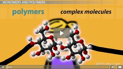 Organic Molecule | Overview, Types & Structure