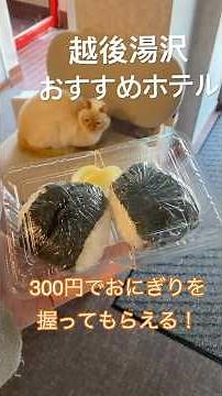 〖新潟〗越後湯沢駅で見つけた癒しのホテル#新潟 #越後湯沢 #旅行 #温泉 #trip #グルメ #ビジネスホテルニューモンド