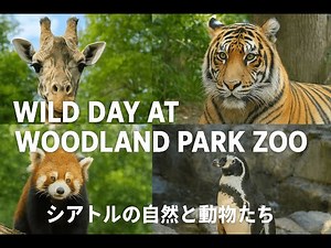 「Wild Day at Woodland Park Zoo 🦓｜シアトルの自然と動物たち」
