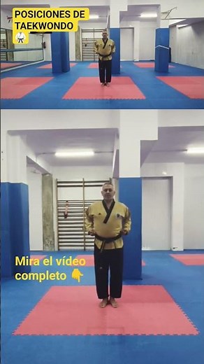 LEARN THE TAEKWONDO STANCES (SOGUI)🥋