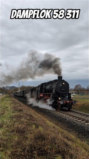 🚂 Dampflok 58 311 bei Lauterbach – stimmungsvolle Herbstaufnahme auf der Vogelsbergbahn