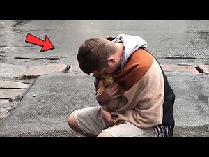 Homeless dog wags tail at everyone he meets in hopes of being rescued