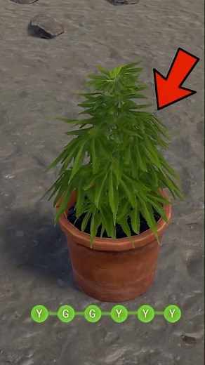 How to get perfect genetics in Rust