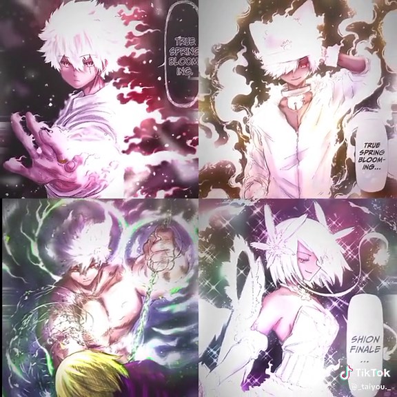 Exploring Spring Blossom Profit Yozakura in Action