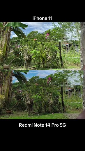 iPhone 11 vs Redmi Note 14 Pro Camera Comparison